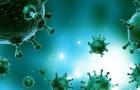 Чем опасны вирусные инфекции Наиболее опасные вирусные заболевания человека
